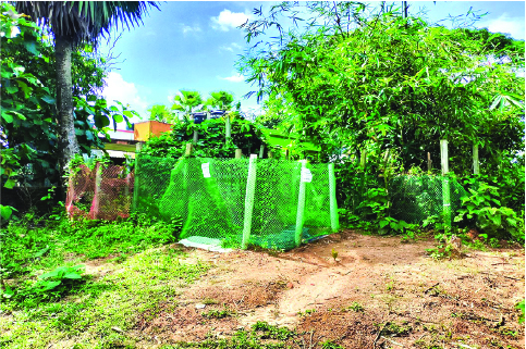 Image of ইকরাম হোসেন কাউসার